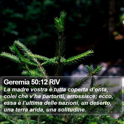 Geremia 50:12 RIV Bible Verse Image