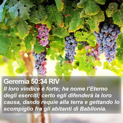 Geremia 50:34 RIV Bible Verse Image