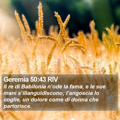 Geremia 50:43 RIV Bible Verse Image