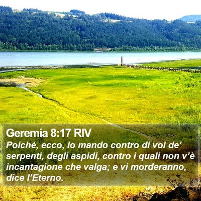 Geremia 8:17 RIV Bible Verse Image
