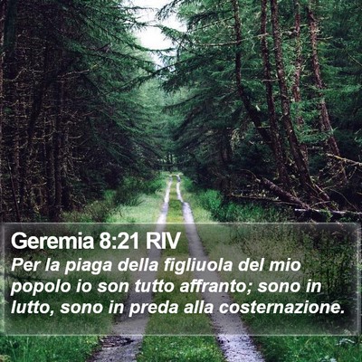 Geremia 8:21 RIV Bible Verse Image