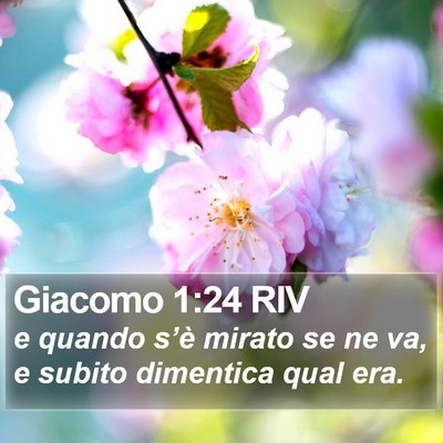 Giacomo 1:24 RIV Bible Verse Image