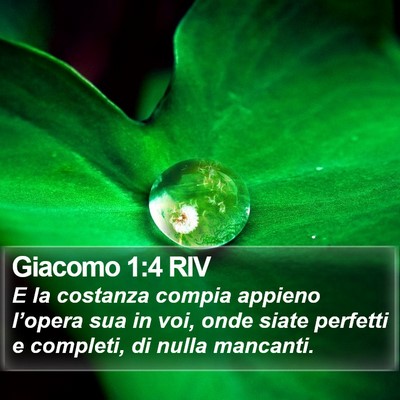 Giacomo 1:4 RIV Bible Verse Image