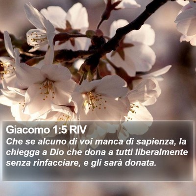 Giacomo 1:5 RIV Bible Verse Image
