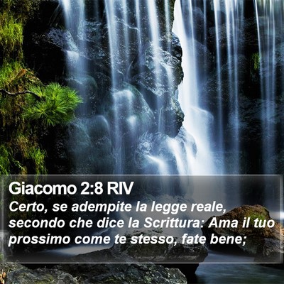 Giacomo 2:8 RIV Bible Verse Image
