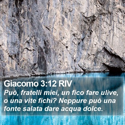 Giacomo 3:12 RIV Bible Verse Image