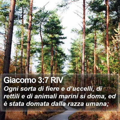 Giacomo 3:7 RIV Bible Verse Image