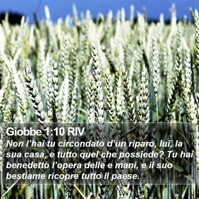Giobbe 1:10 RIV Bible Verse Image