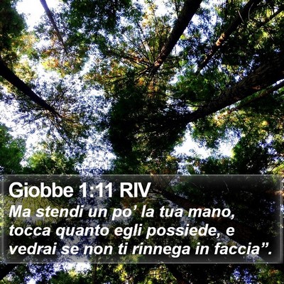 Giobbe 1:11 RIV Bible Verse Image