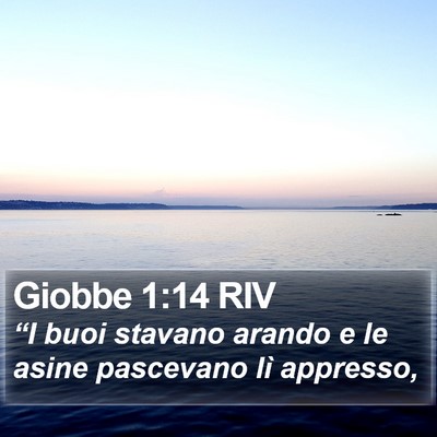 Giobbe 1:14 RIV Bible Verse Image