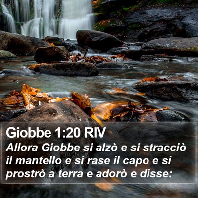 Giobbe 1:20 RIV Bible Verse Image