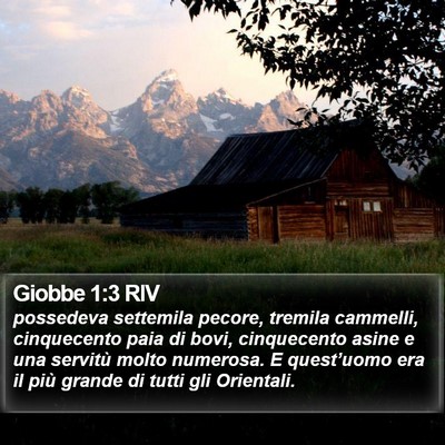 Giobbe 1:3 RIV Bible Verse Image