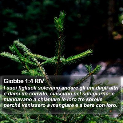 Giobbe 1:4 RIV Bible Verse Image