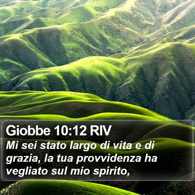 Giobbe 10:12 RIV Bible Verse Image