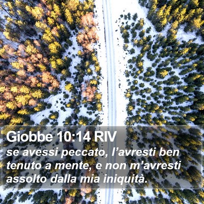 Giobbe 10:14 RIV Bible Verse Image