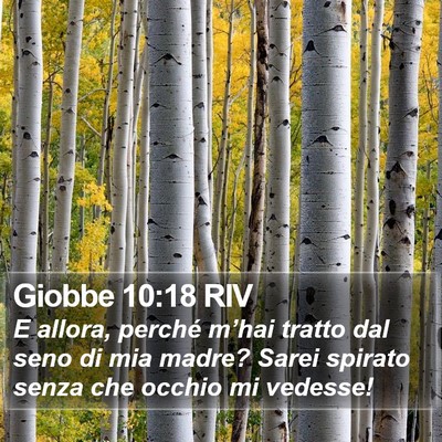 Giobbe 10:18 RIV Bible Verse Image