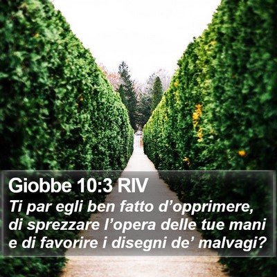 Giobbe 10:3 RIV Bible Verse Image