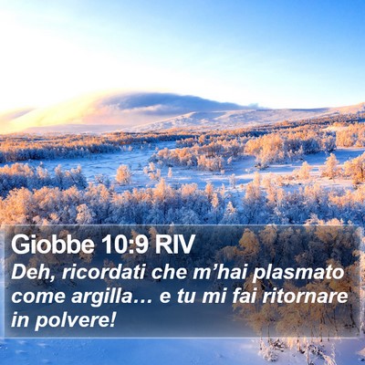 Giobbe 10:9 RIV Bible Verse Image