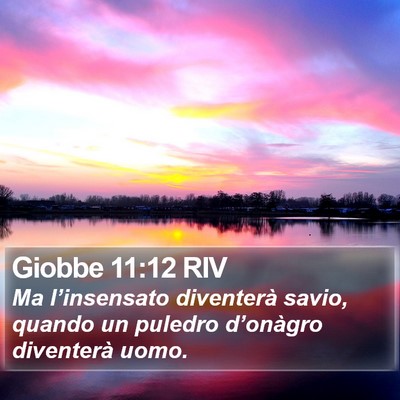 Giobbe 11:12 RIV Bible Verse Image