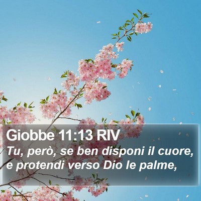 Giobbe 11:13 RIV Bible Verse Image