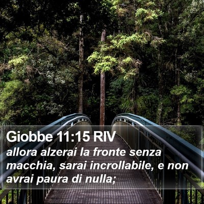 Giobbe 11:15 RIV Bible Verse Image