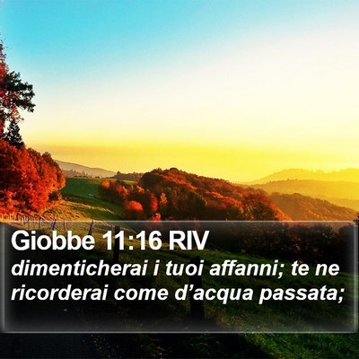 Giobbe 11:16 RIV Bible Verse Image