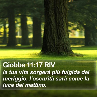 Giobbe 11:17 RIV Bible Verse Image