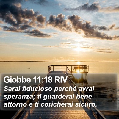 Giobbe 11:18 RIV Bible Verse Image