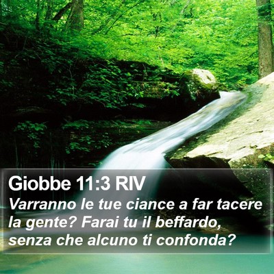 Giobbe 11:3 RIV Bible Verse Image