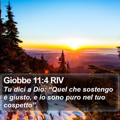 Giobbe 11:4 RIV Bible Verse Image