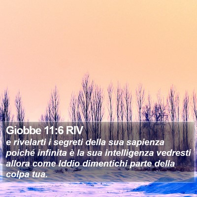 Giobbe 11:6 RIV Bible Verse Image