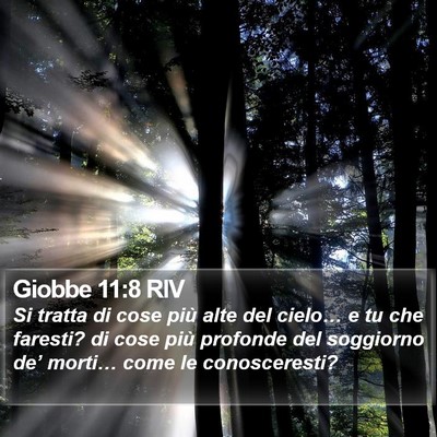 Giobbe 11:8 RIV Bible Verse Image