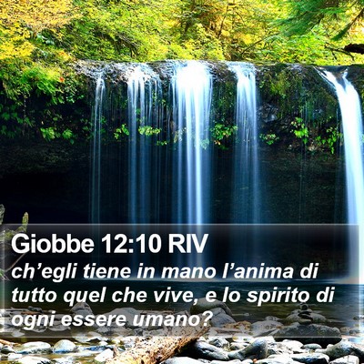 Giobbe 12:10 RIV Bible Verse Image