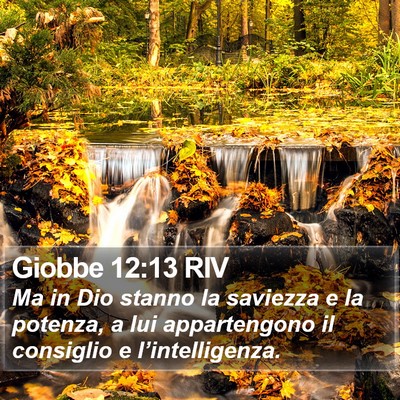 Giobbe 12:13 RIV Bible Verse Image
