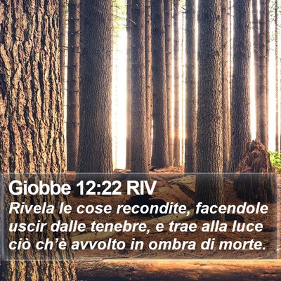 Giobbe 12:22 RIV Bible Verse Image