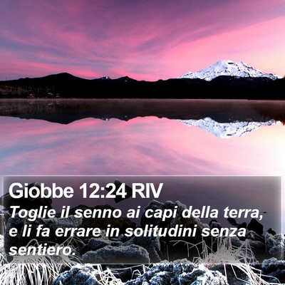 Giobbe 12:24 RIV Bible Verse Image