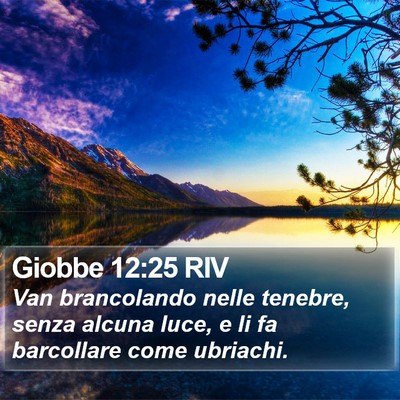 Giobbe 12:25 RIV Bible Verse Image