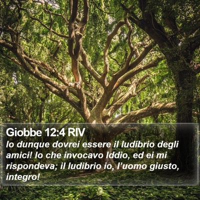 Giobbe 12:4 RIV Bible Verse Image