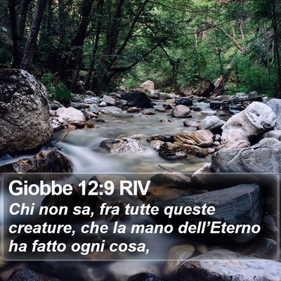 Giobbe 12:9 RIV Bible Verse Image