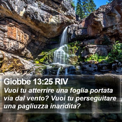 Giobbe 13:25 RIV Bible Verse Image
