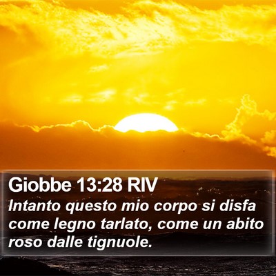 Giobbe 13:28 RIV Bible Verse Image