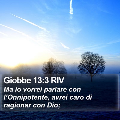 Giobbe 13:3 RIV Bible Verse Image