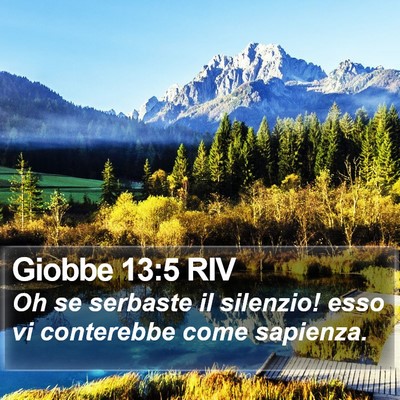 Giobbe 13:5 RIV Bible Verse Image