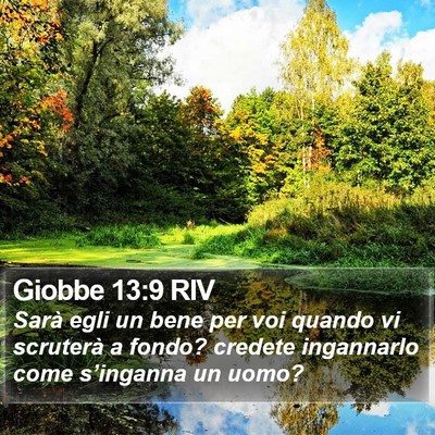 Giobbe 13:9 RIV Bible Verse Image