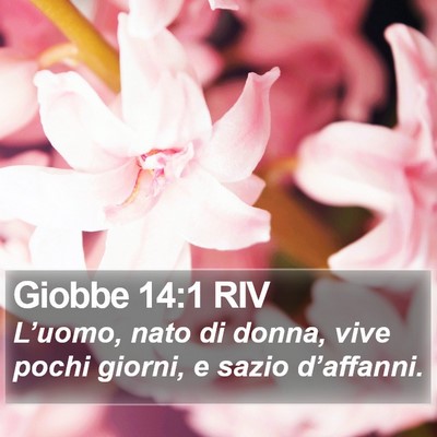 Giobbe 14:1 RIV Bible Verse Image