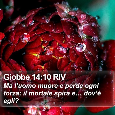 Giobbe 14:10 RIV Bible Verse Image