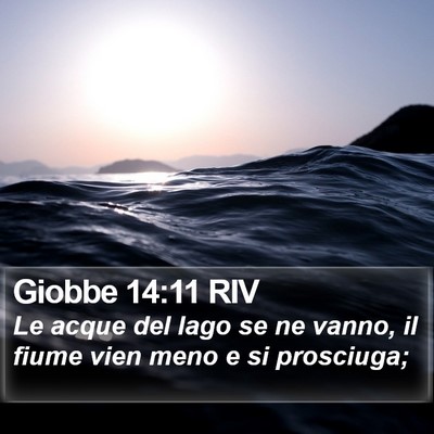 Giobbe 14:11 RIV Bible Verse Image