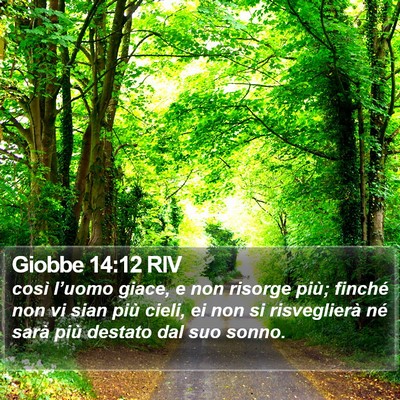 Giobbe 14:12 RIV Bible Verse Image