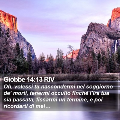 Giobbe 14:13 RIV Bible Verse Image