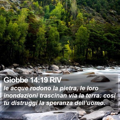 Giobbe 14:19 RIV Bible Verse Image
